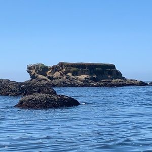 Meet your Posher, Mayra